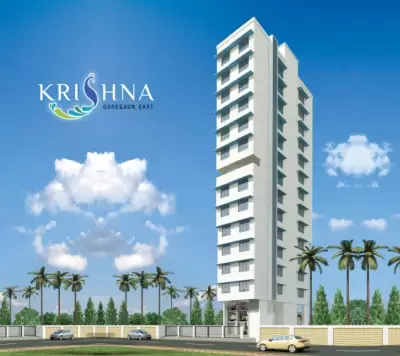 K Patel Krishna